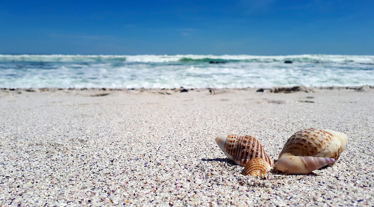 临清三和吧,繁荣多元的最新动态与发展景象观察