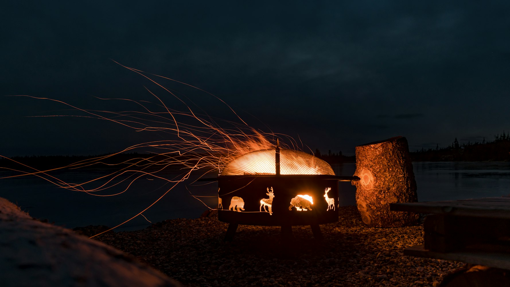 煤飞色舞行情,市场繁荣背后的能源力量与能源变革之路