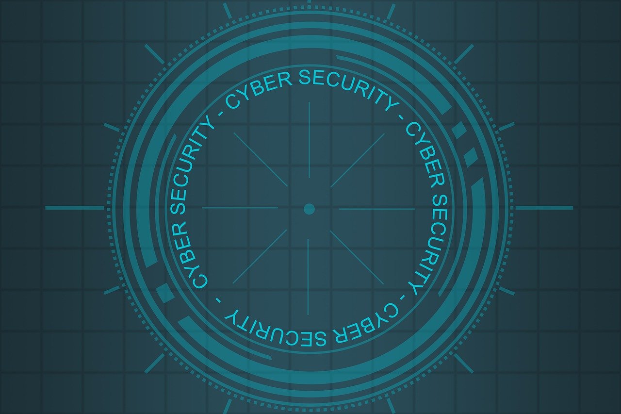 温州车牌号码最新竞价信息解析及竞价动态