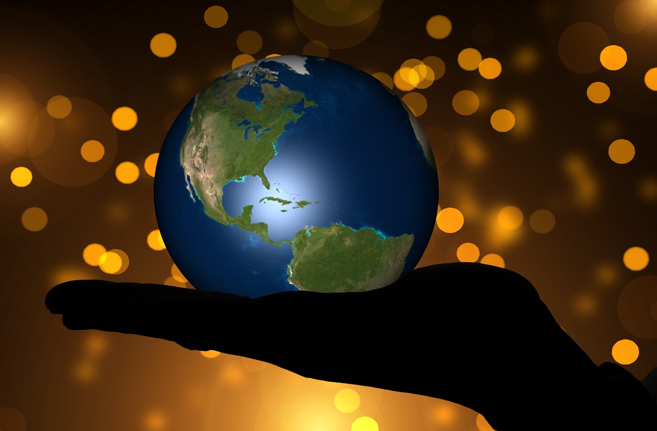 美豆全球种植状况与市场趋势深度解析报告发布