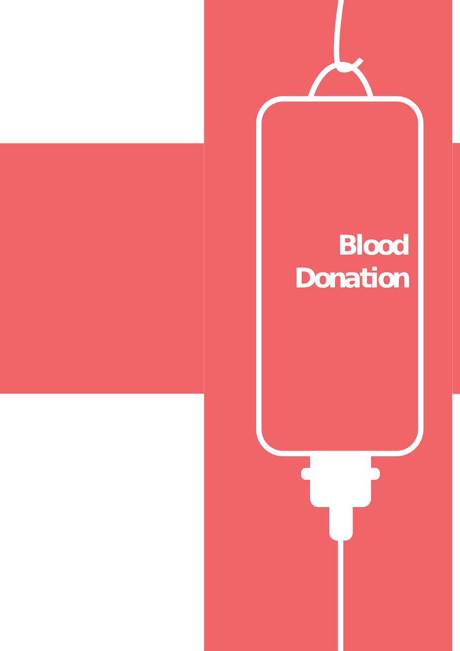 钢筋最新报价与市场动态分析概览