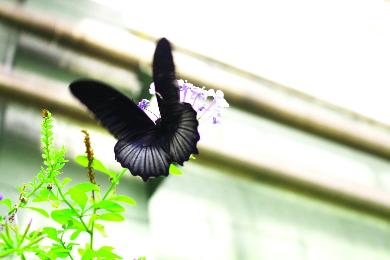 同舟煤业迈向高效绿色可持续未来之路的最新动态