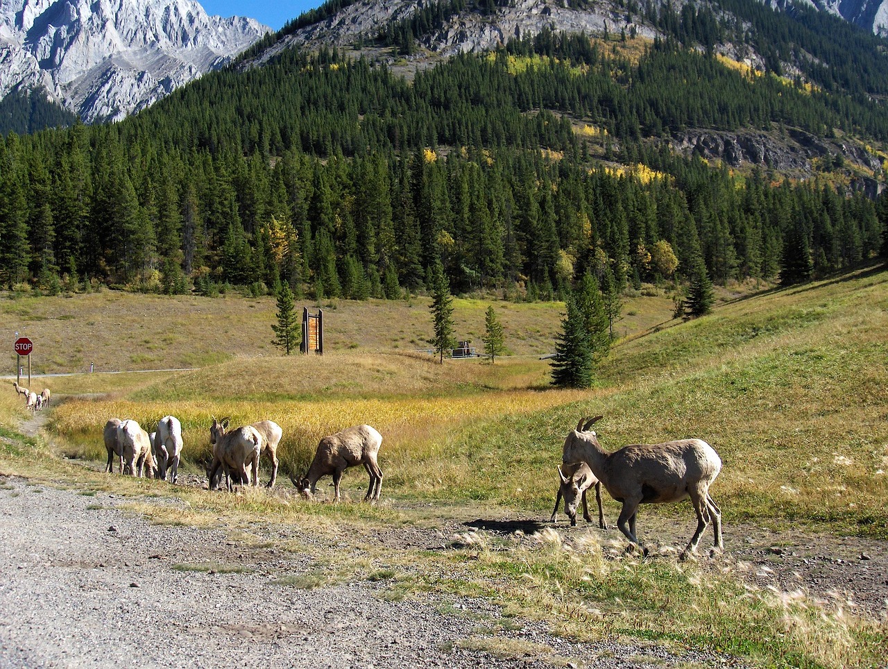 丰原药业引领行业变革,塑造未来医药新篇章的最新动态