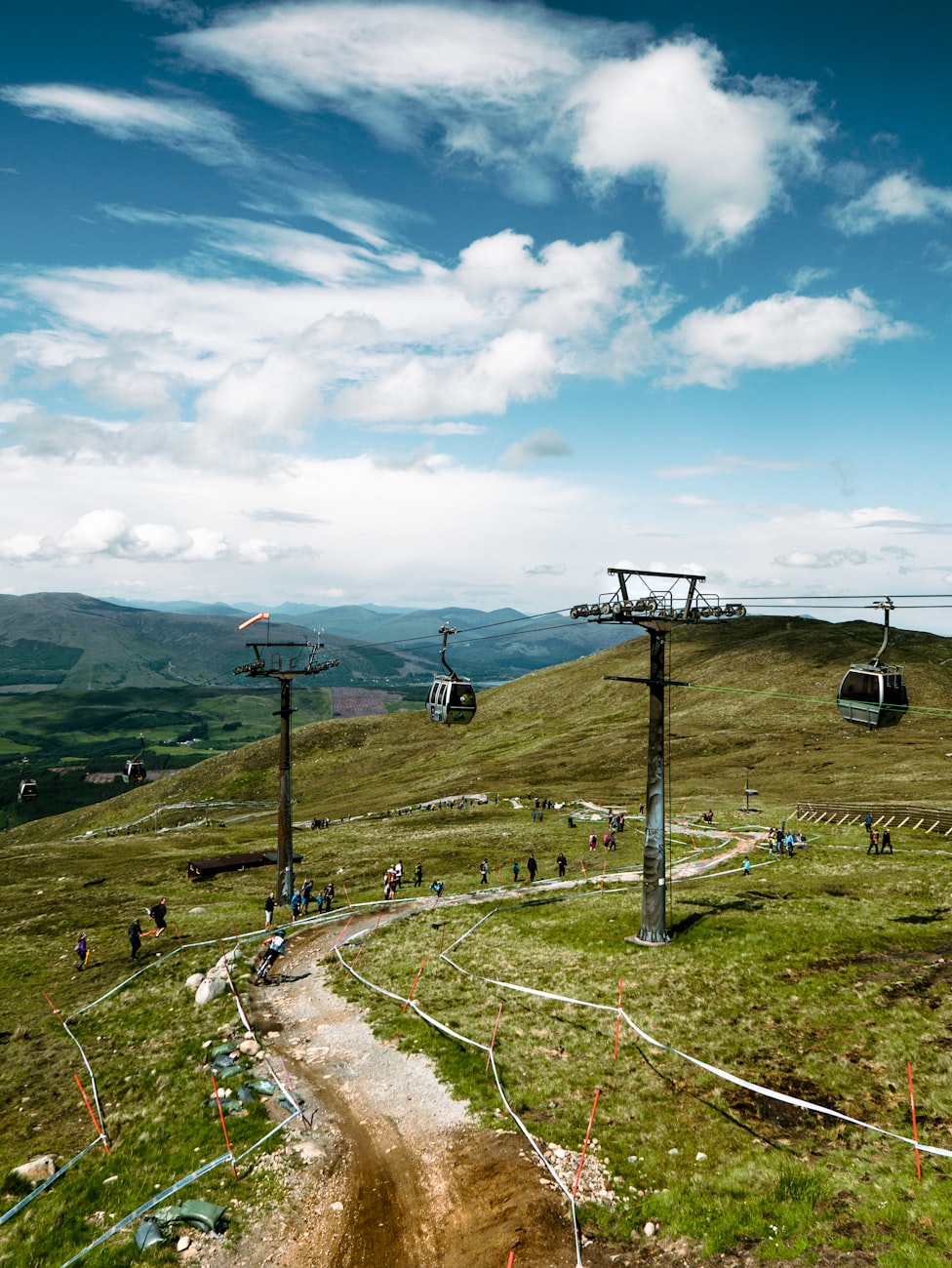 雏鹰农牧股票最新动态解析,最新消息深度解读