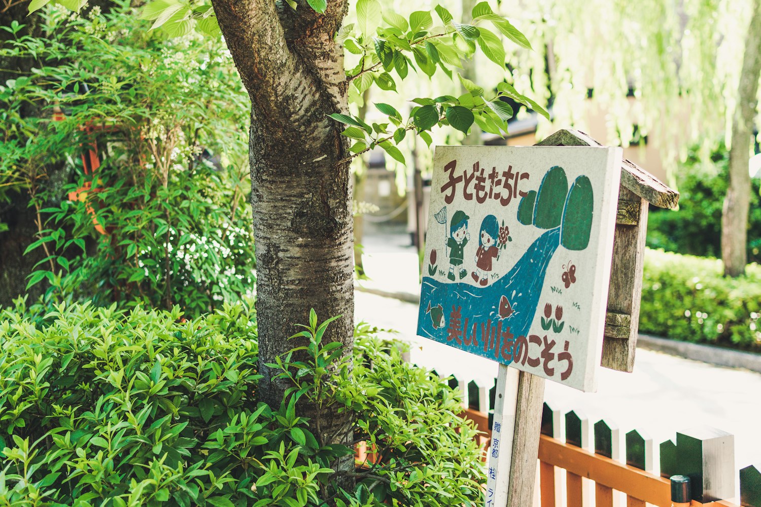 海绵宝宝动漫头像,快乐与童真的代表形象