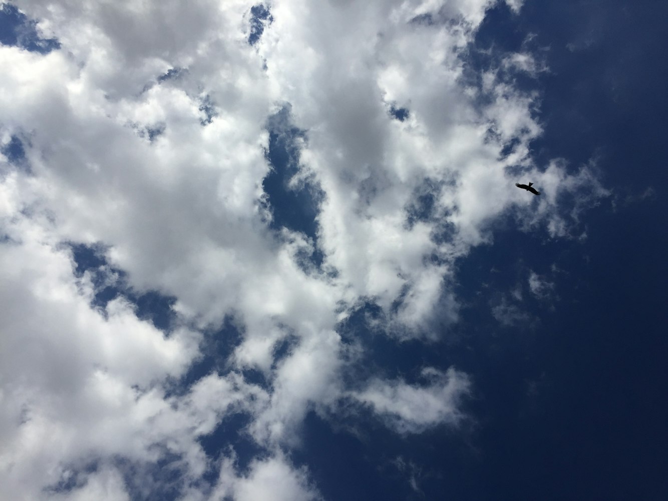 女神动漫头像,魅力与流行的完美融合