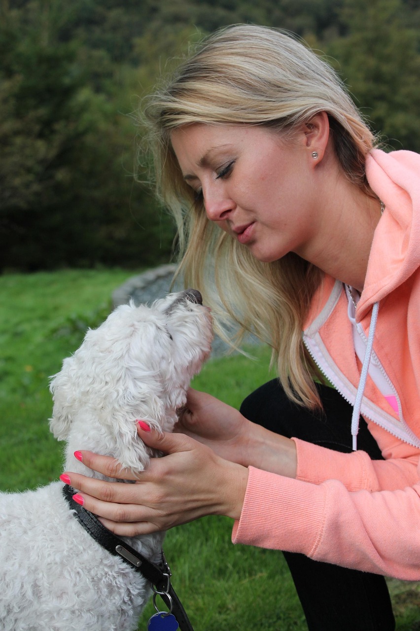 浦炎高速最新进展报告更新,施工进展与动态速递