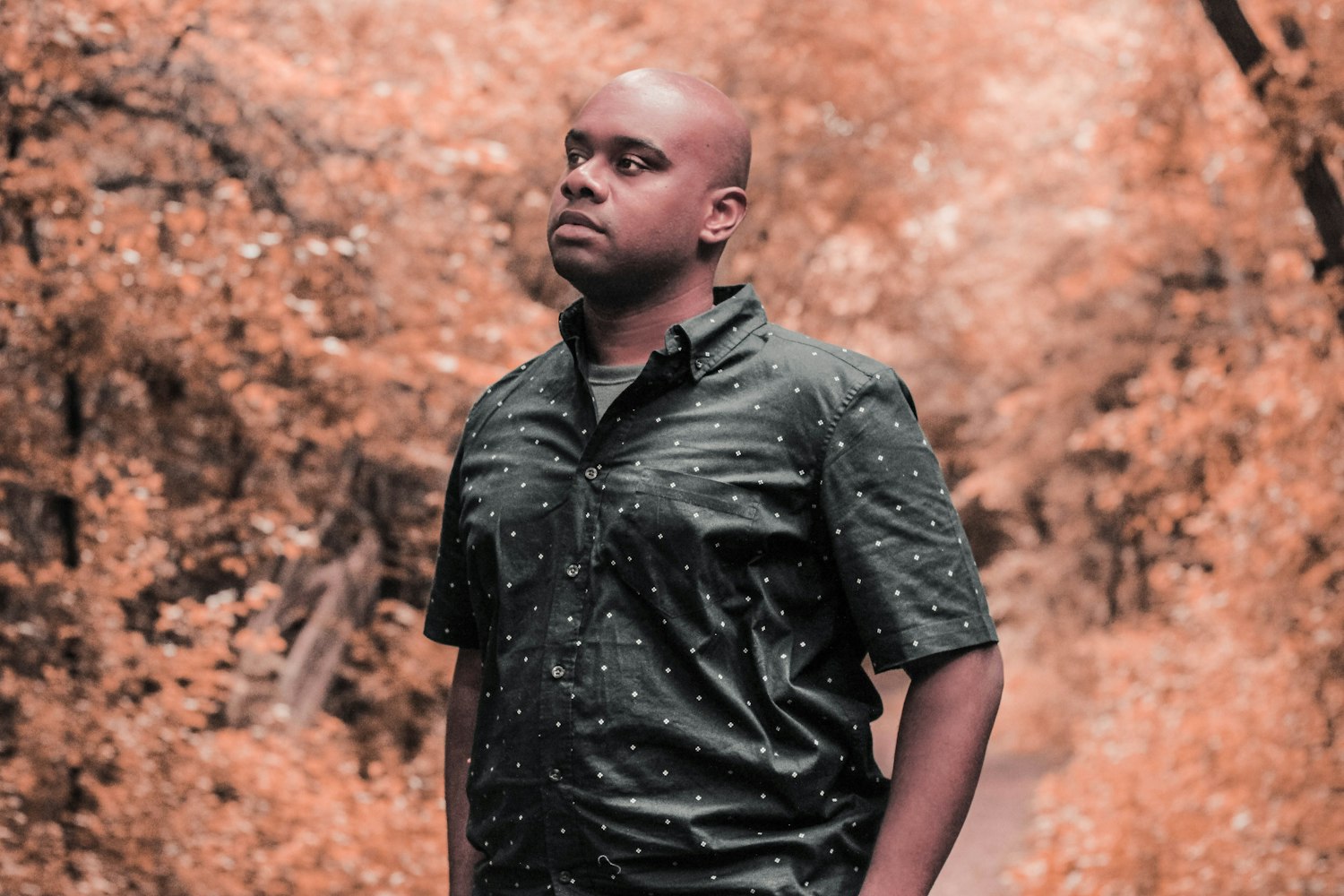 一禅新动态,数字时代的禅意生活探索