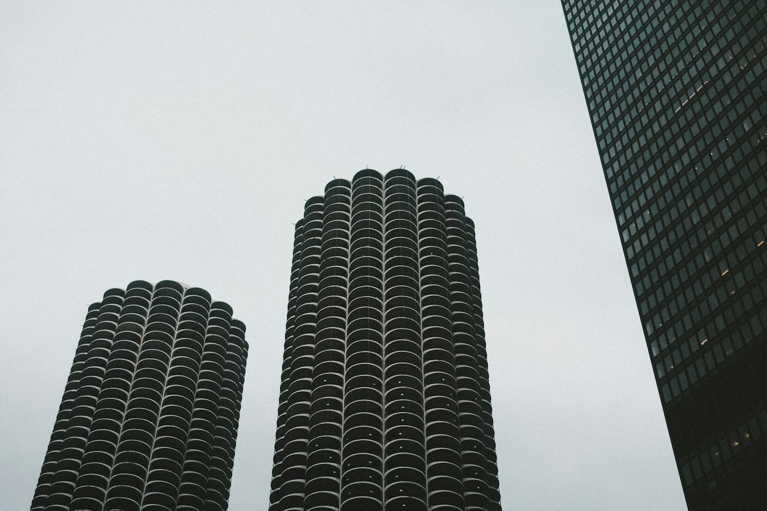 新生群动态揭秘,新生力量的活力与风采探索