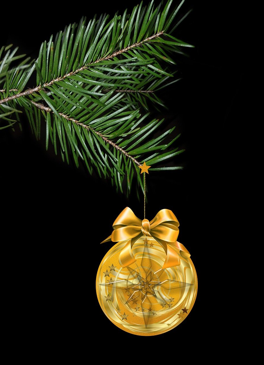 常西湖最新动态揭秘,水域新面貌的蜕变之旅