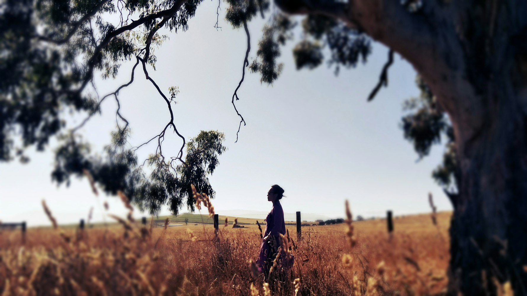 婚前试爱电影完整版,现代爱情的探索与挑战之旅