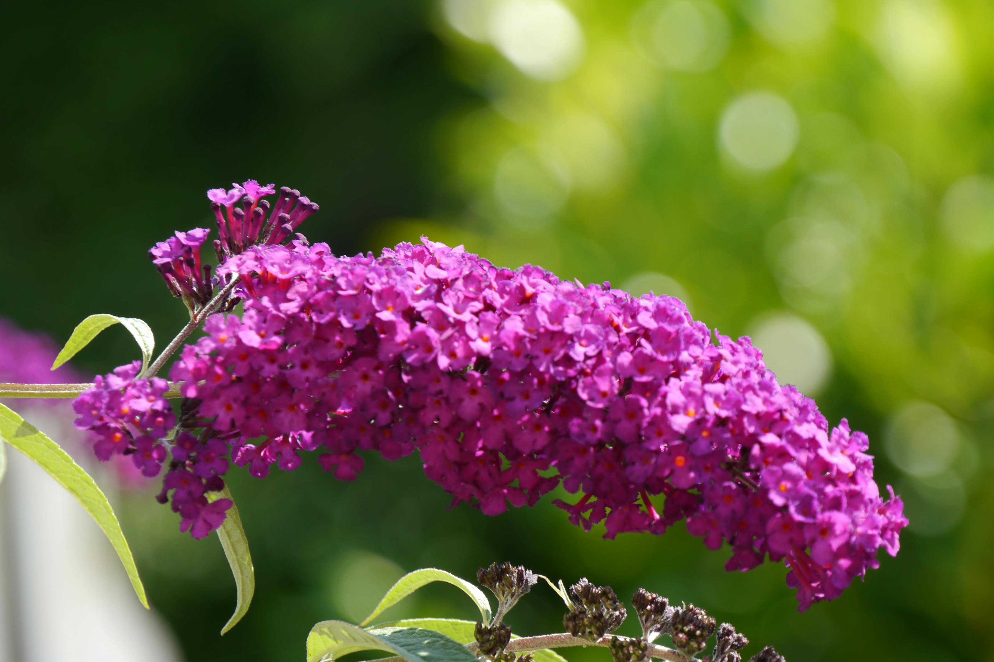 2025年11月 第94页