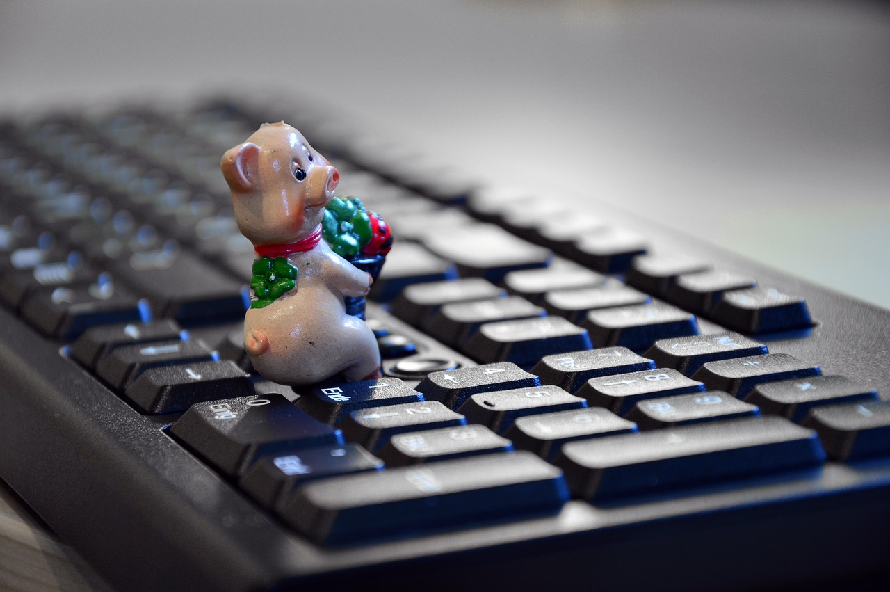 最新91精品磁力链接,数字世界的魅力探索