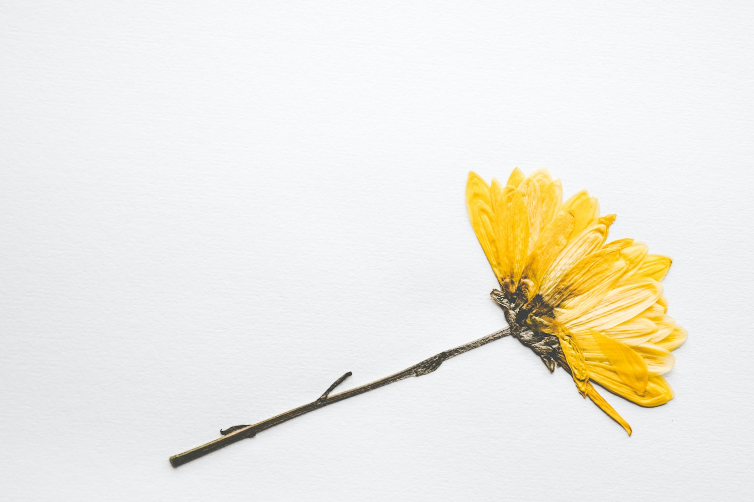 大众湖滨花园房价动态,市场趋势、影响因素分析与预测