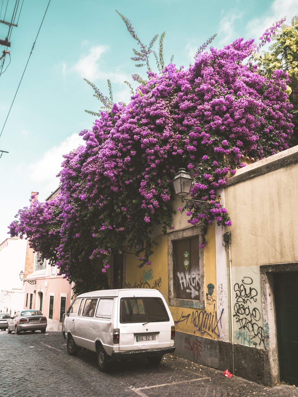 最新电影资讯引领观影潮流,洞悉影视动态