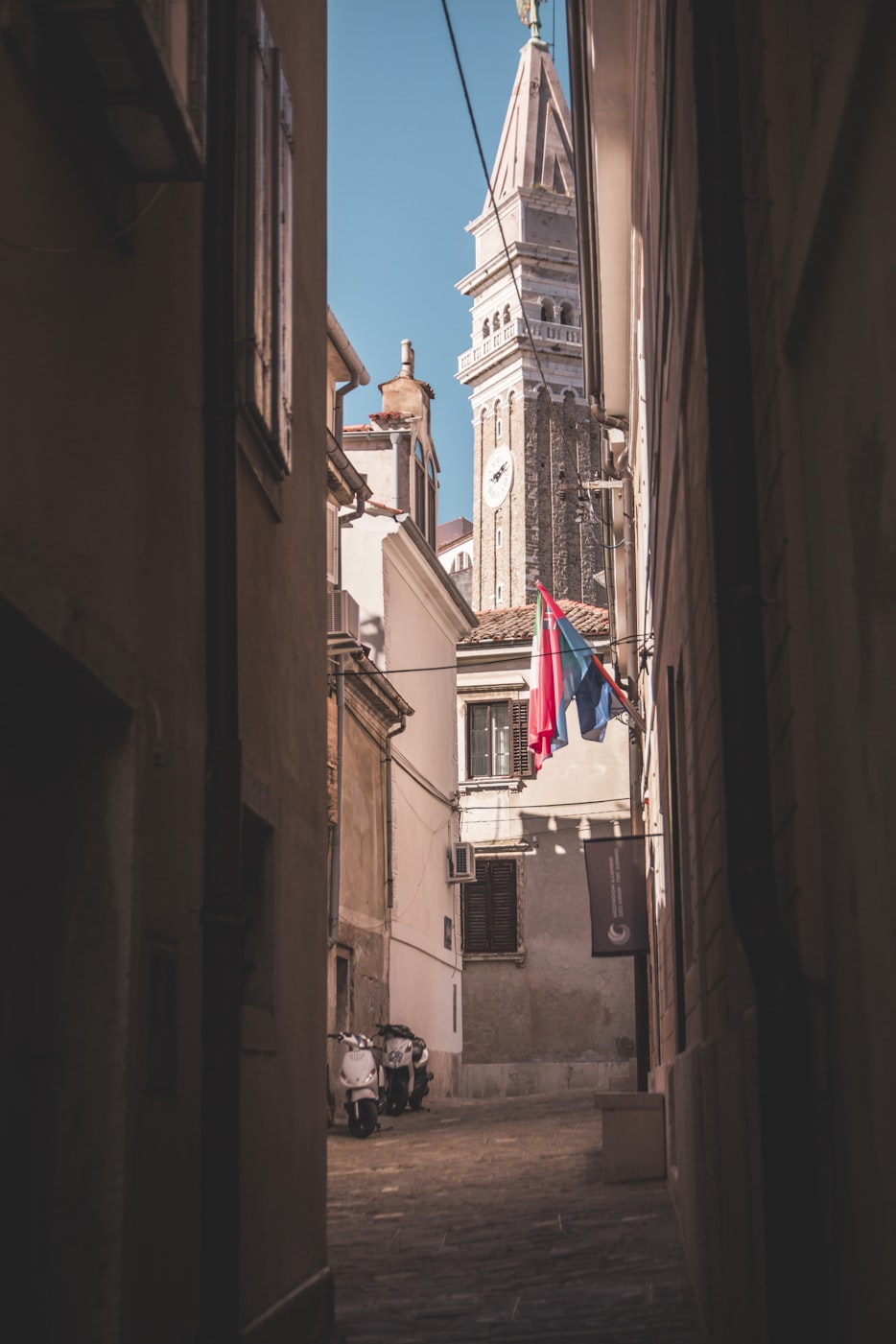 岳阳市罗黑皮最新消息动态更新