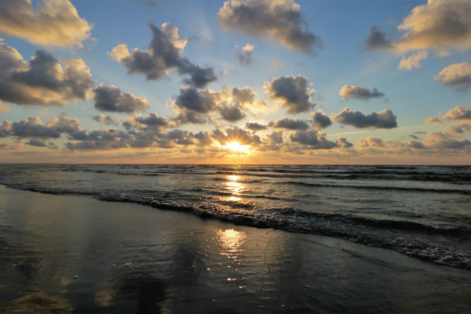 美年健康股票最新动态,市场走势分析与展望