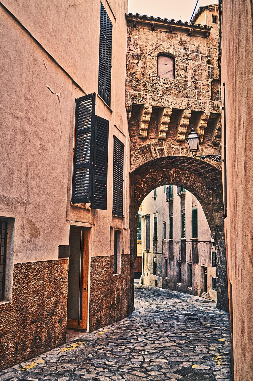 沪通长江大桥最新工程动态,迈向卓越的桥梁建设之路进展播报