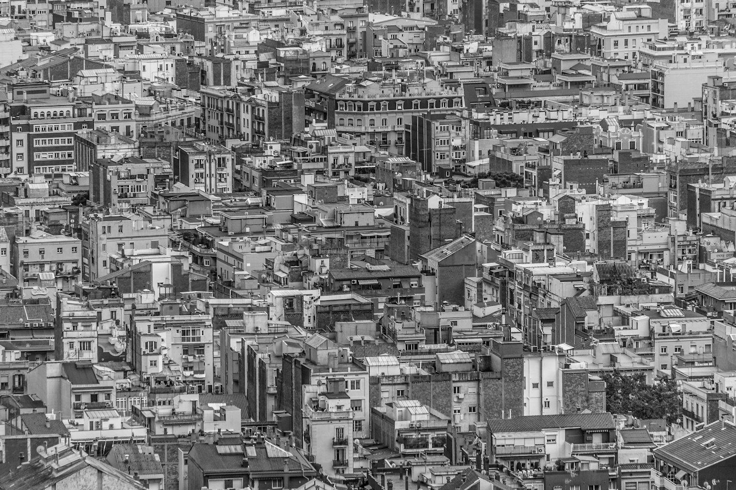 金沙最新发展计划,探索未来繁荣之路