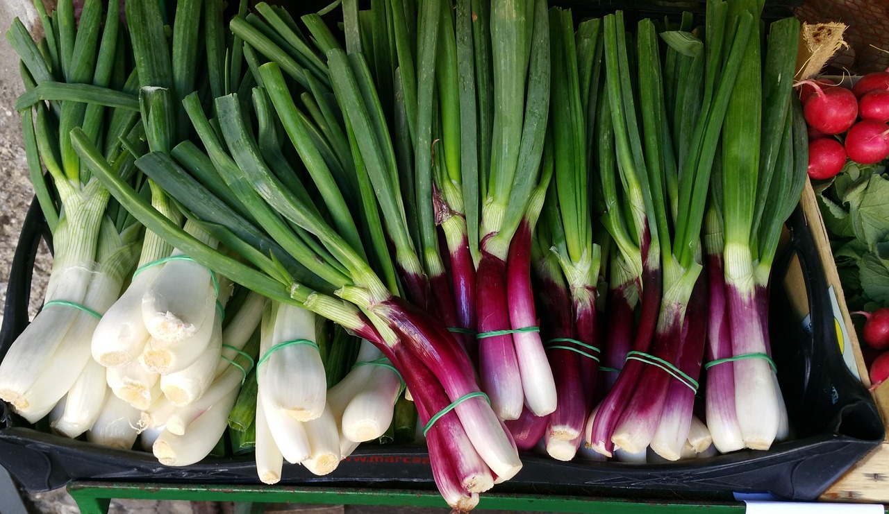 山东香菜最新价格行情揭秘,全面分析市场行情与趋势预测