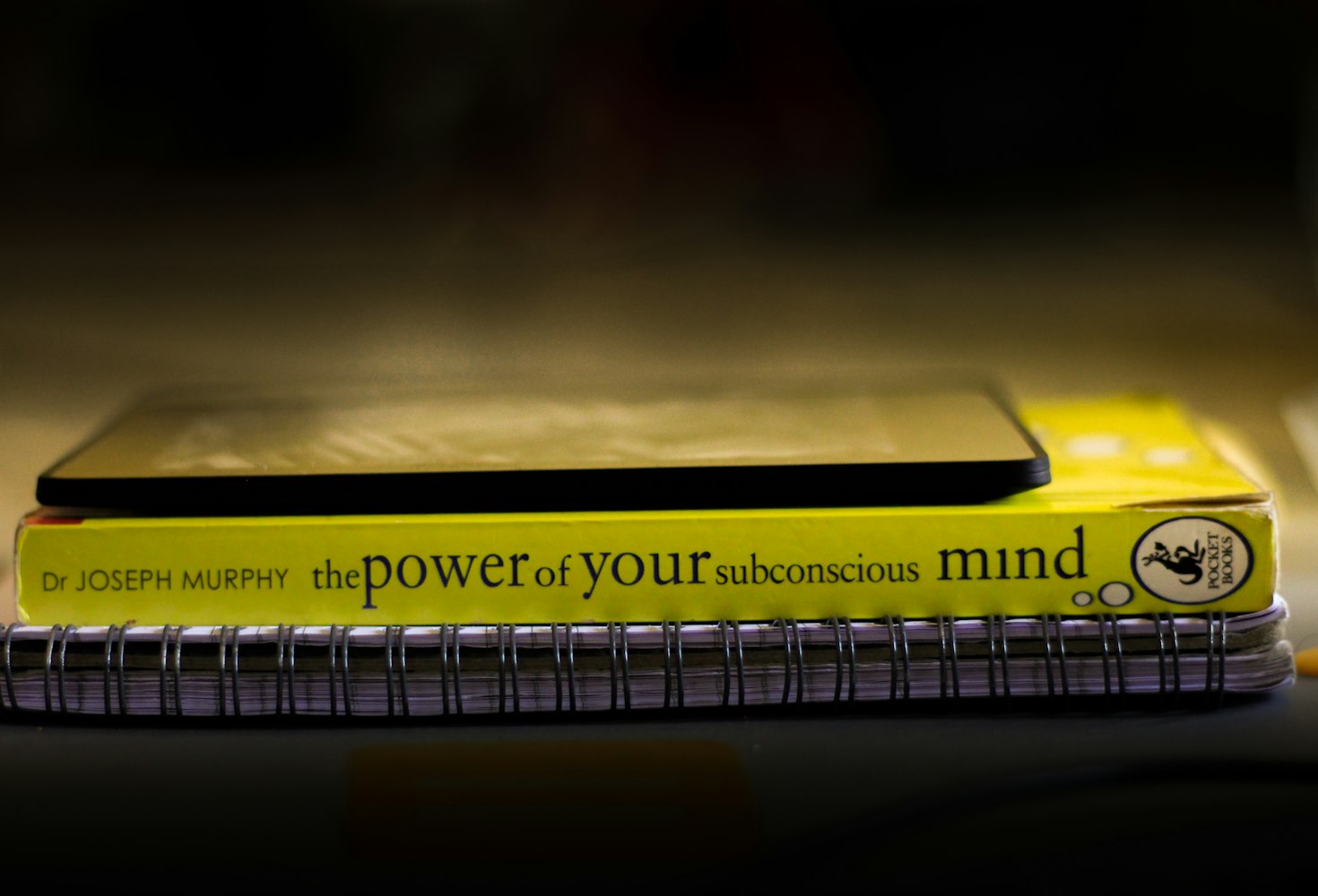 沈阳幼儿园最新信息概览,幼儿园动态更新速递