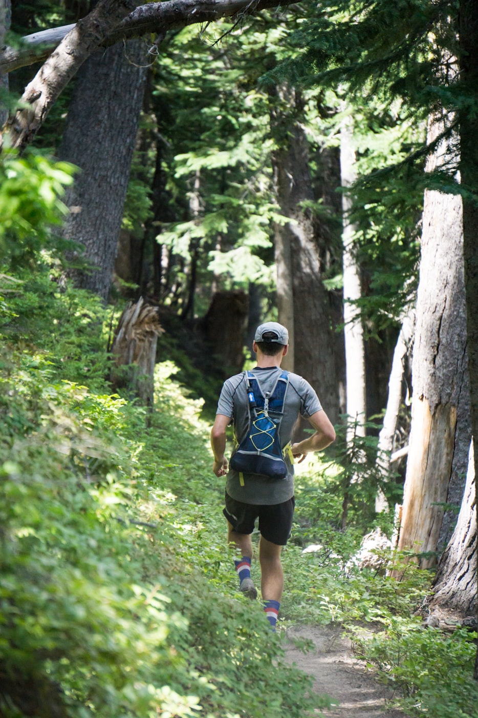 三宁复合肥最新报价与市场动态分析概览
