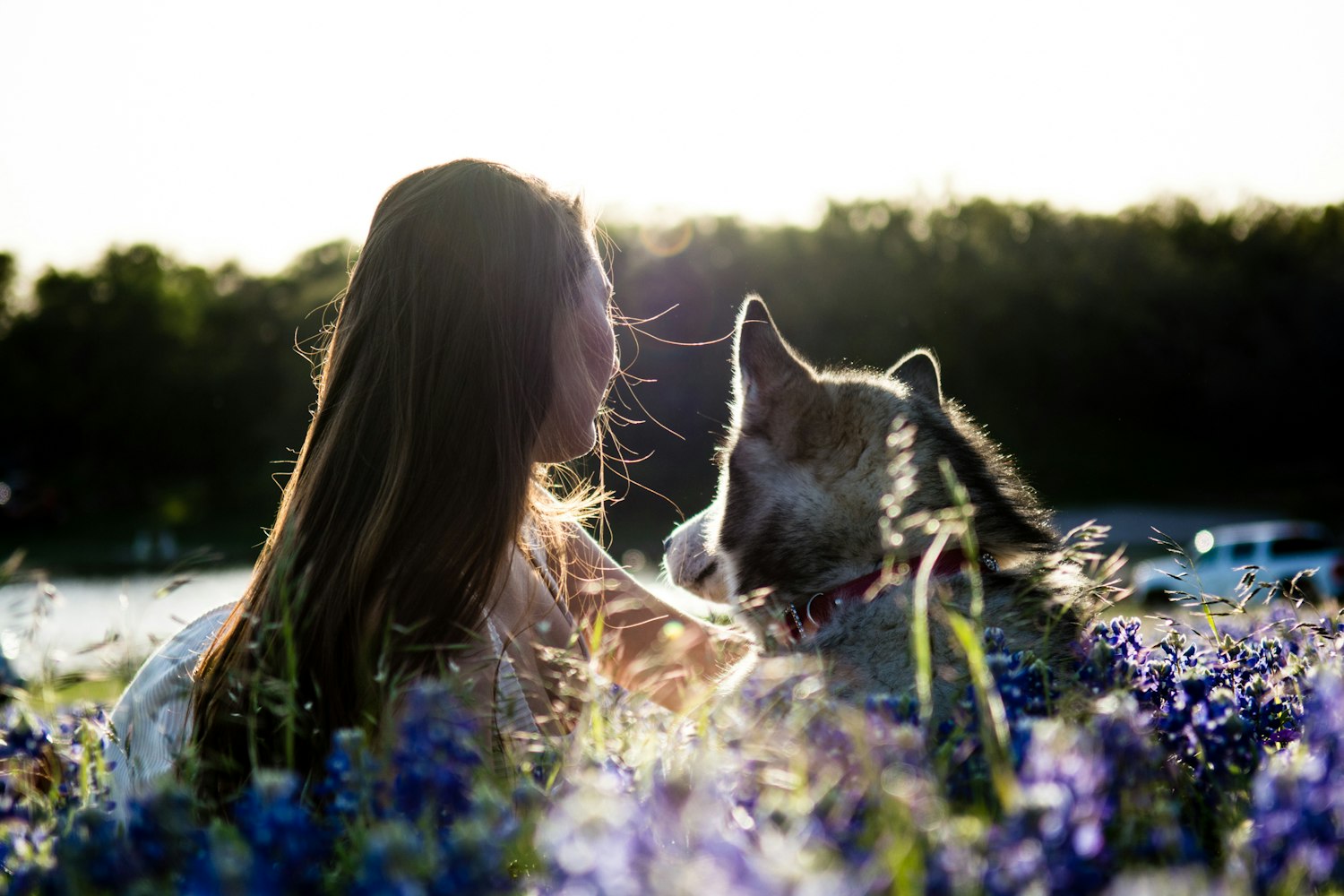 不期而至电视剧,魅力与惊喜的艺术之旅探索
