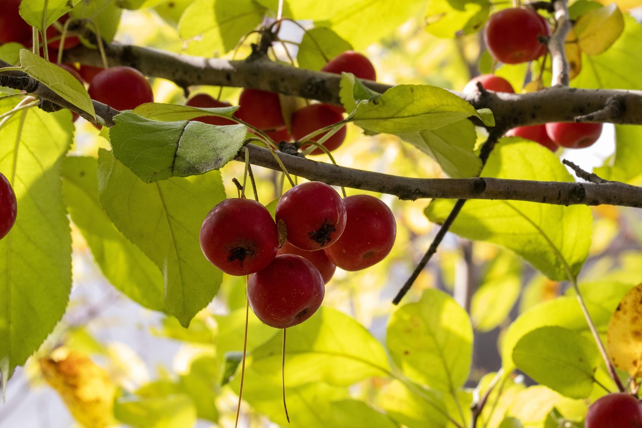 2025年11月 第13页