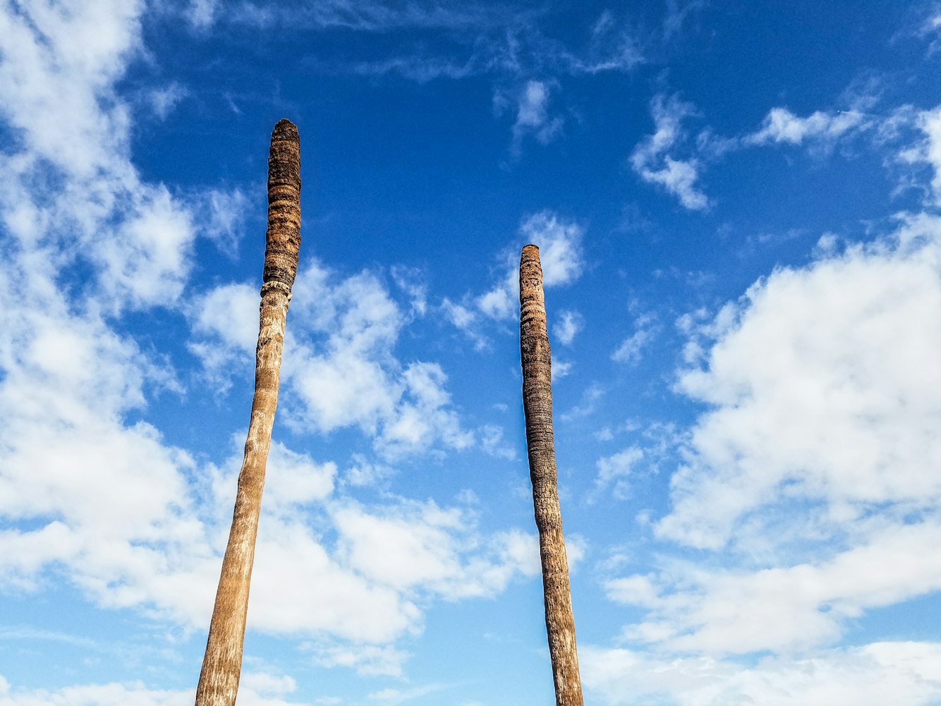 日发精机股票行情深度解析与走势展望