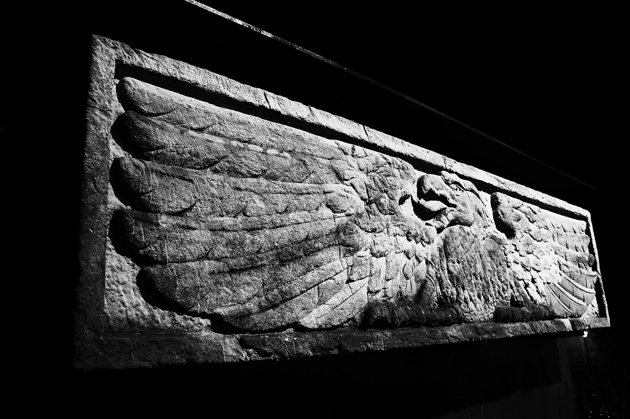 淀中村的发展步伐与乡村变迁动态