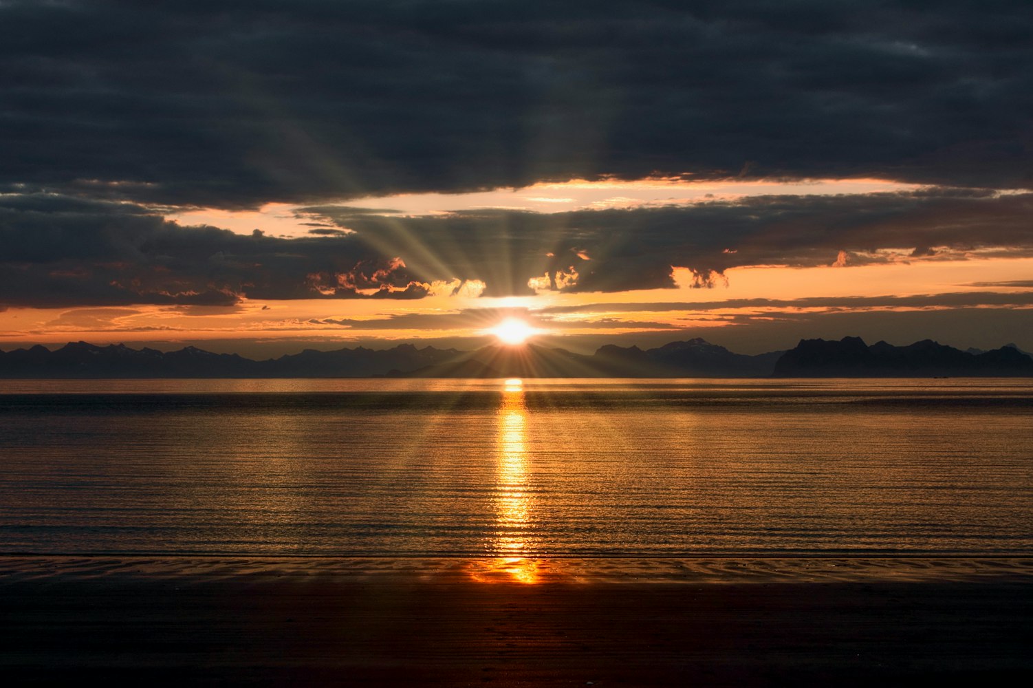 张少华最新动态,影视界的璀璨之星持续闪耀光芒