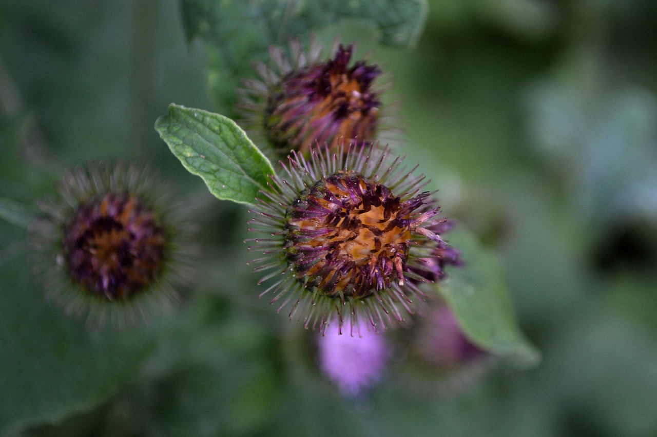 郑州郑东新区最新房价动态及趋势分析