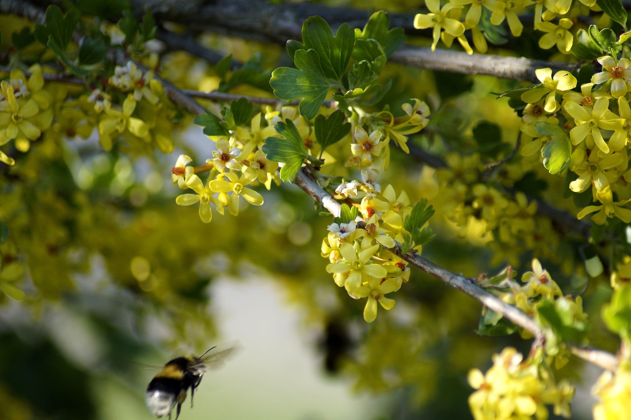 霍明澈新动态揭秘,探索未来无限可能