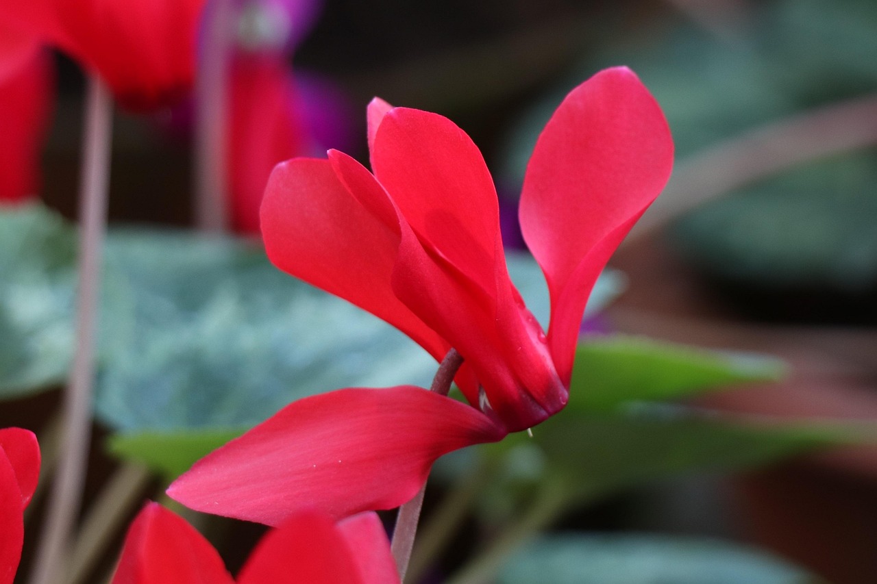 沂源资讯速递,探索新时代的信息传递力量,掌握最新资讯动态