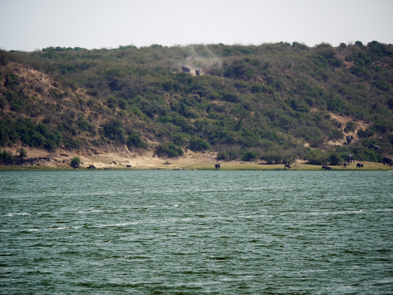 盐城龙桥新园最新动态揭秘,绿色崛起的城市新篇章