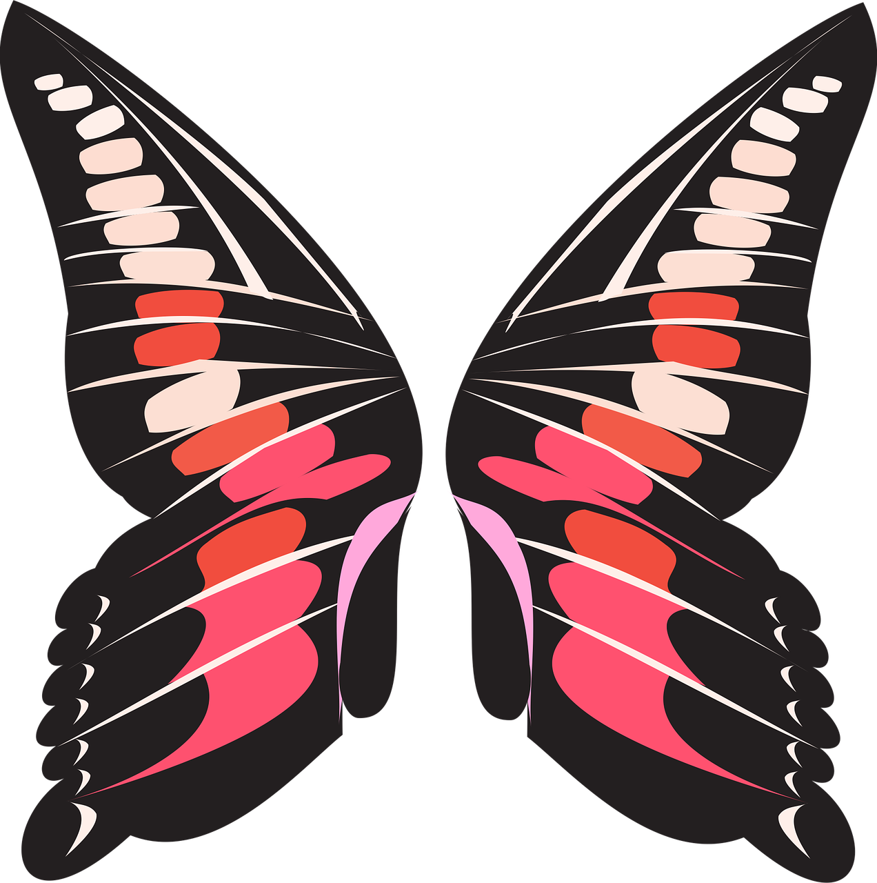 动漫翅膀绘画技巧指南,如何绘制动人的动漫翅膀