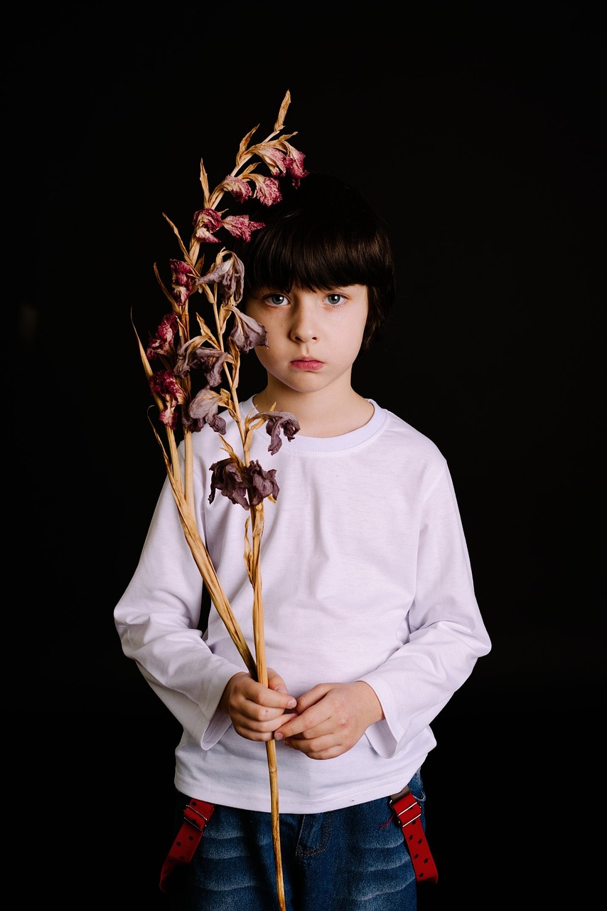 我的前半生主演及其深远影响力