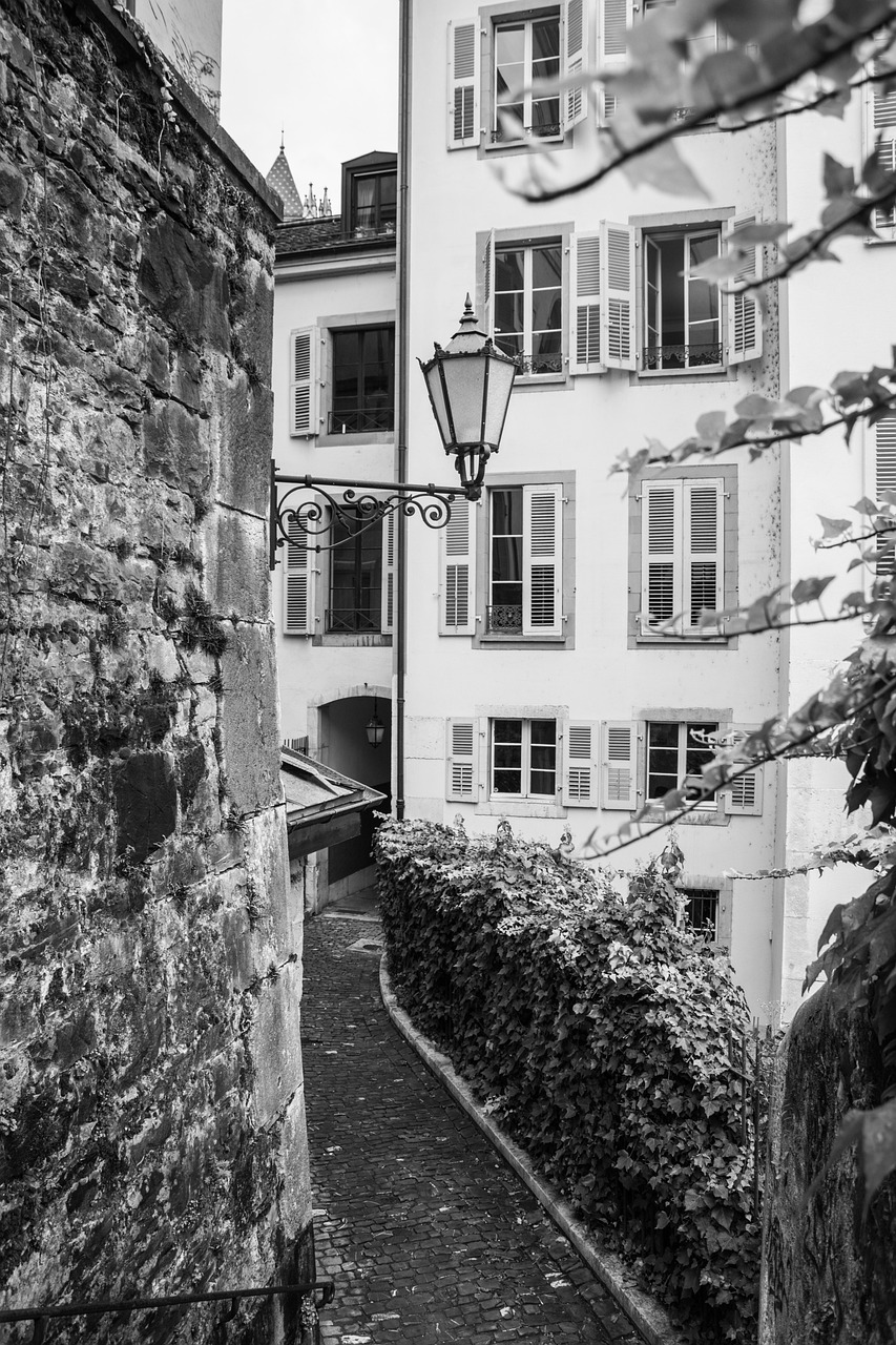 环渚街道最新动态,城市发展与社区建设同步前行