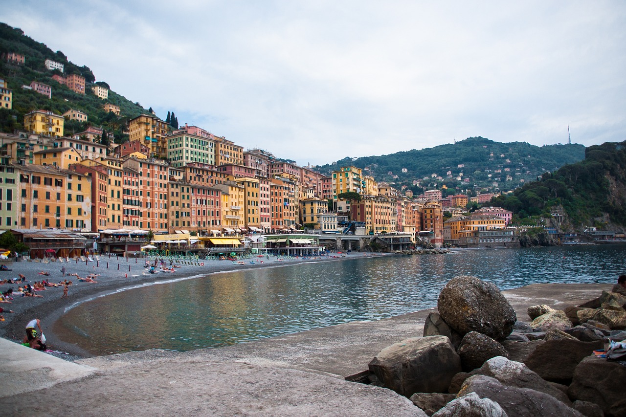 山东生猪市场价格动态分析与研究