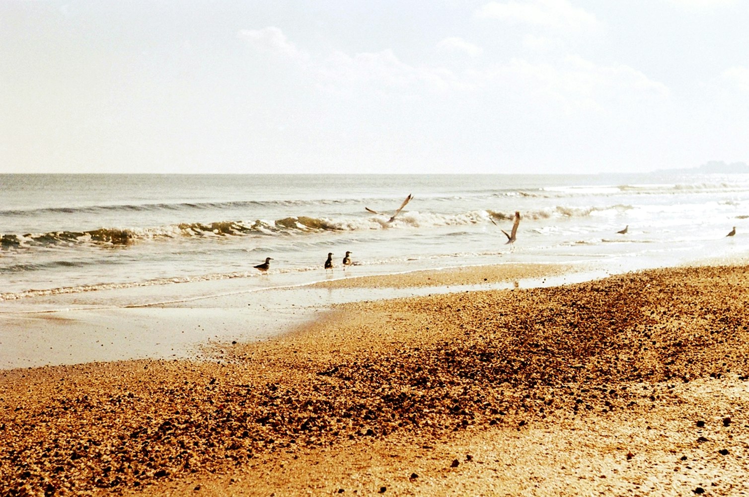 碧海蓝天,自然与人性的壮丽交织电影赏析