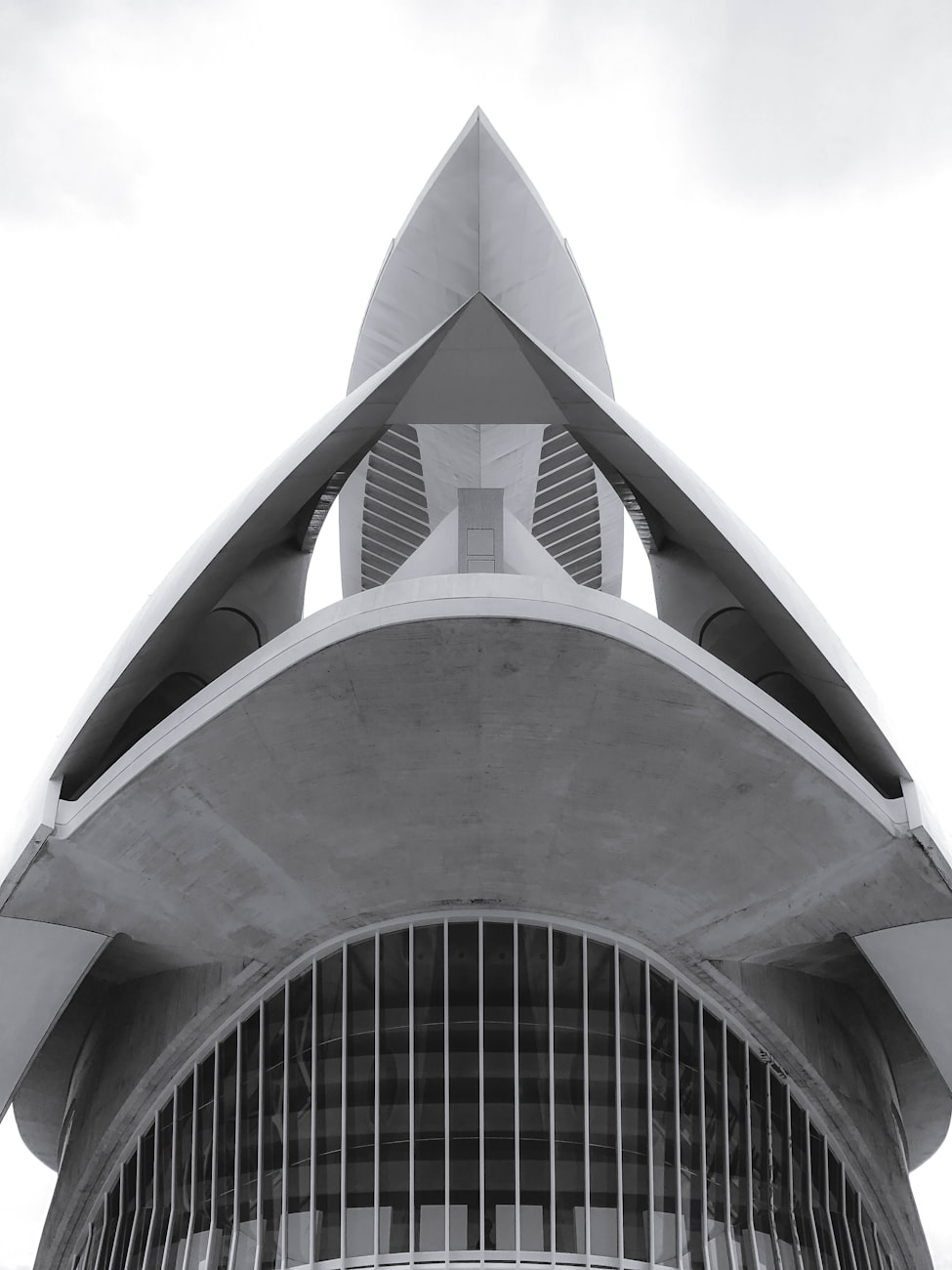 猫咪资讯速递,探索猫咪世界的最新动态与精彩瞬间报道