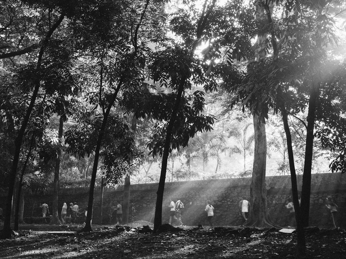 人与自然和谐共生,养狐成伴新篇探索人与自然和谐共生之道