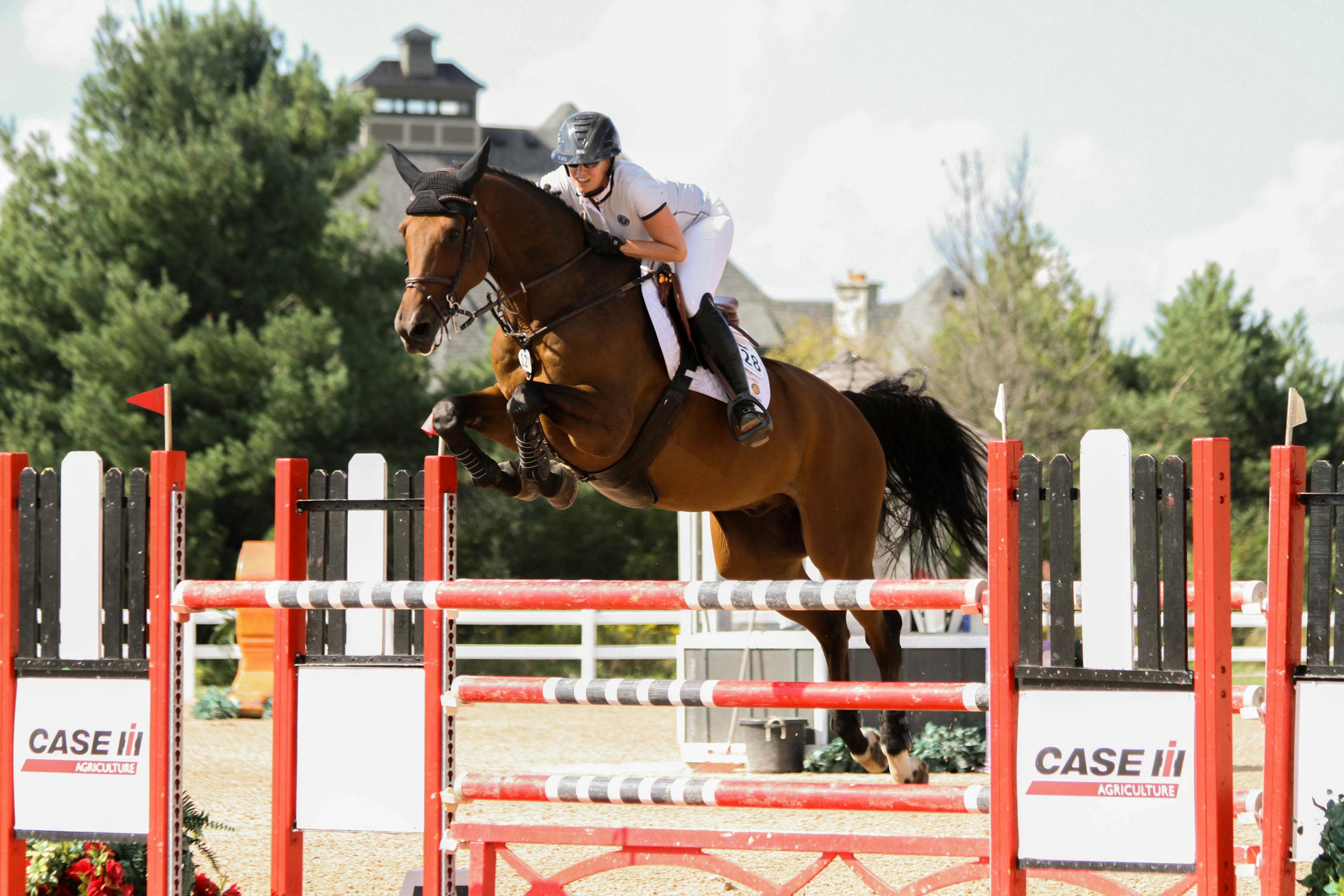 和的力量,比赛与团结共创辉煌