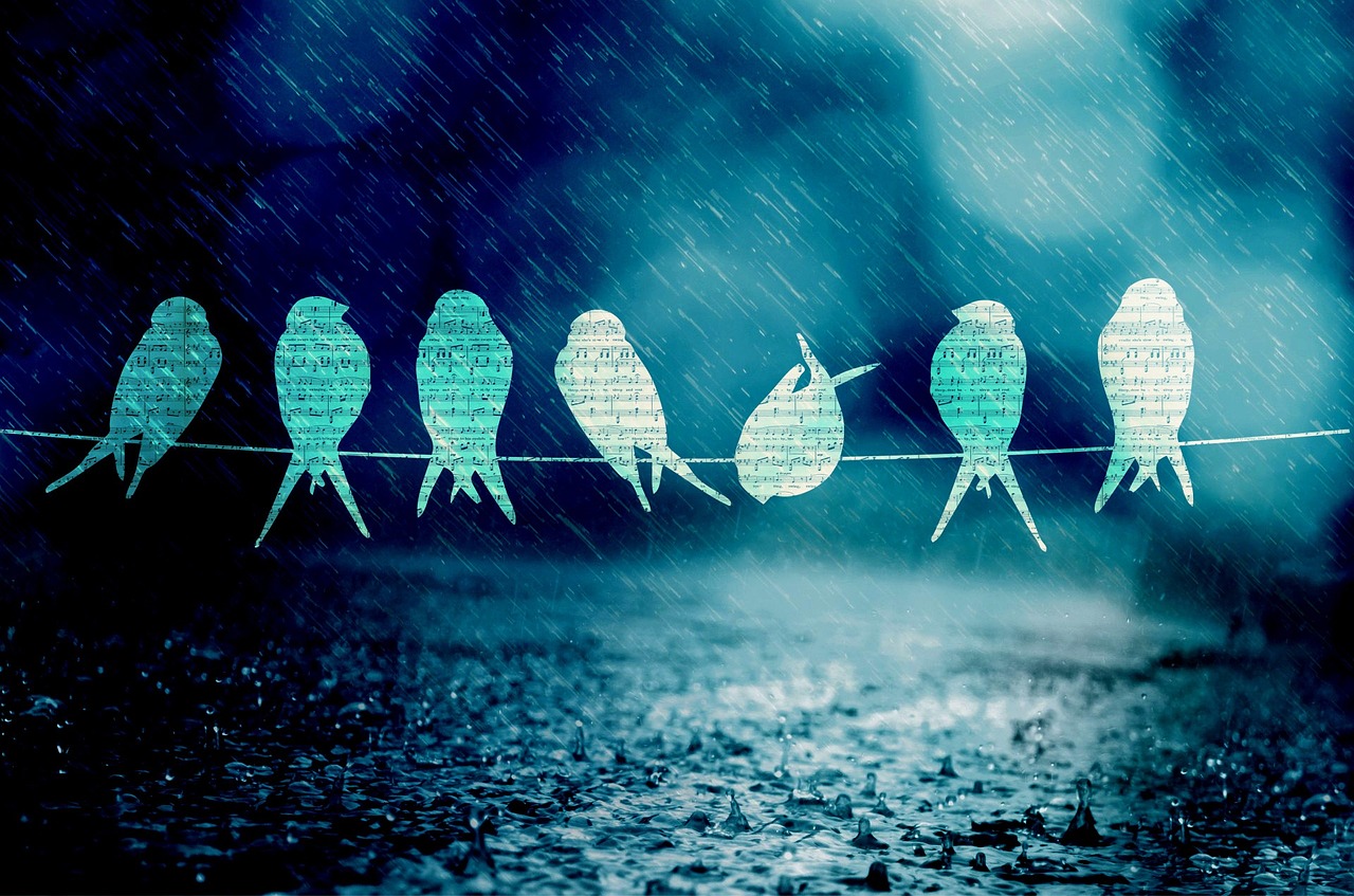 朴树新歌发布,音乐之旅揭开新篇章