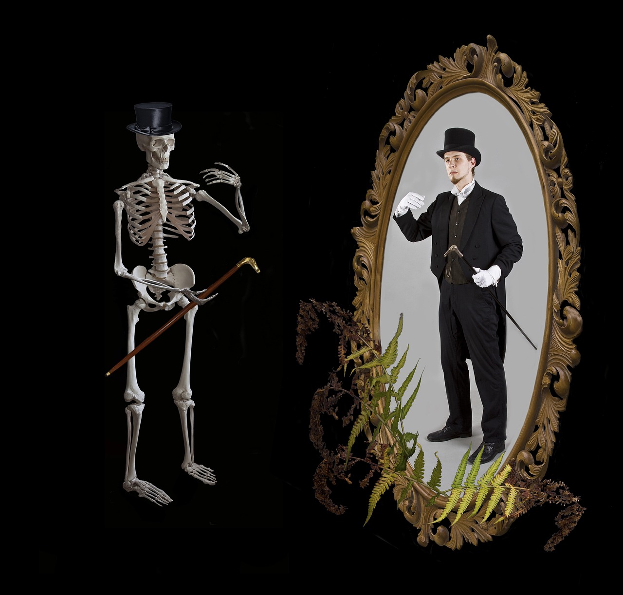 最新盖亚揭秘,揭开未知世界的神秘面纱