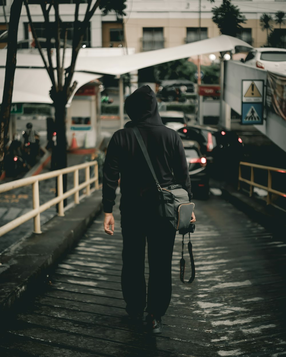 莫莉电影,银幕上的魅力与情感之旅探索