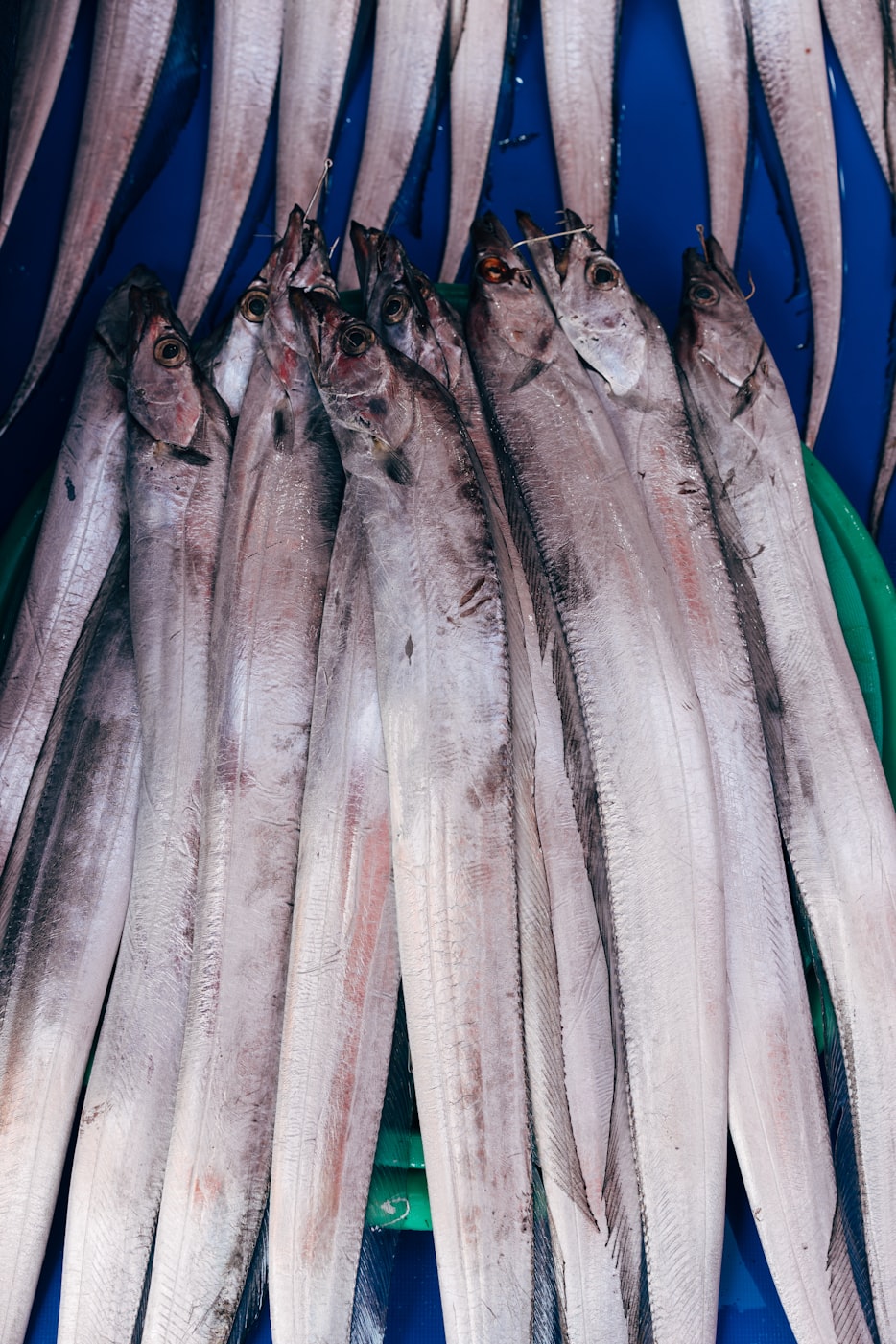 韩国总统最新动态,政策、外交与内部改革全聚焦