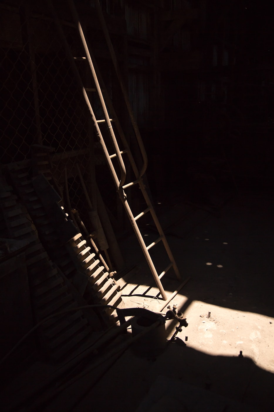 探索未知神秘力量,黑色火种最新章节