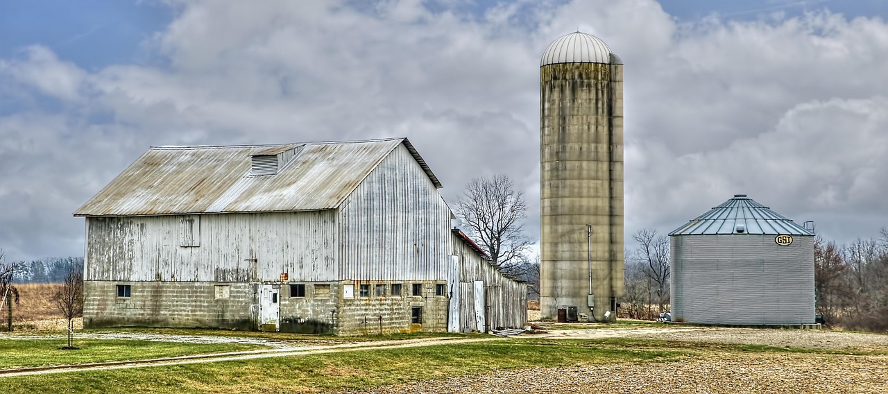 浙江数字文化新动态引领文化产业迈入新时代