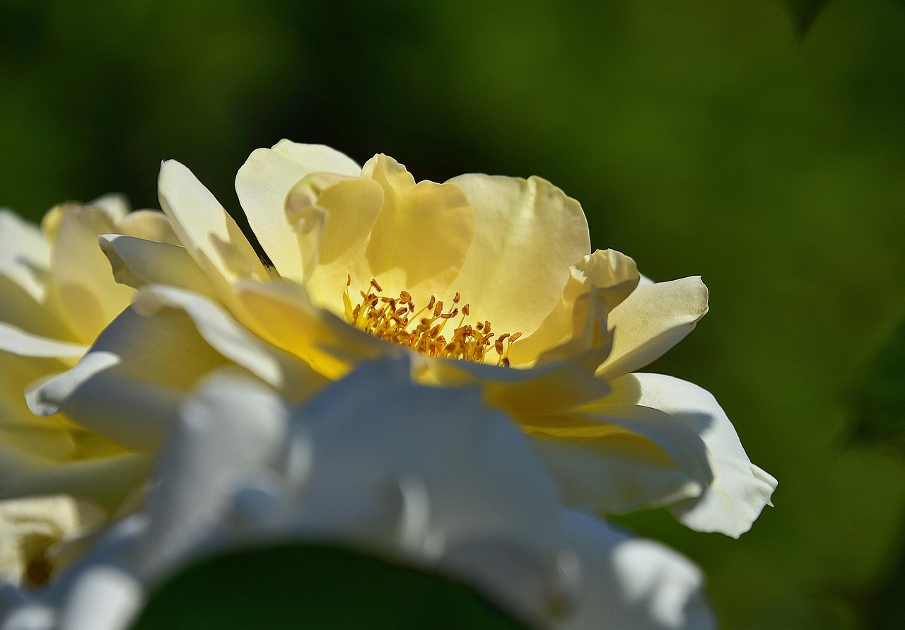 天津河西区房价动态更新,最新资讯与市场走势及影响因素分析